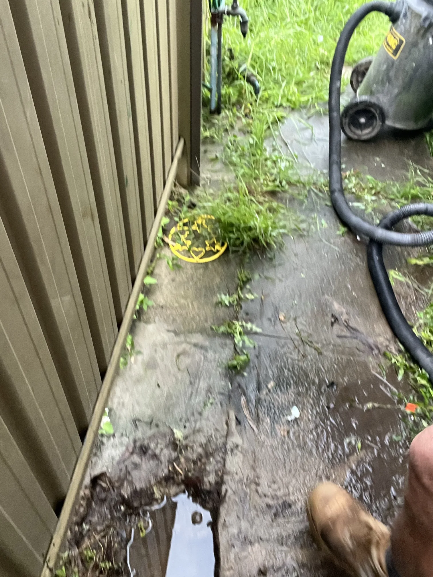 Burst pipe or leak repaired in Chester Hill 2162, March 2026