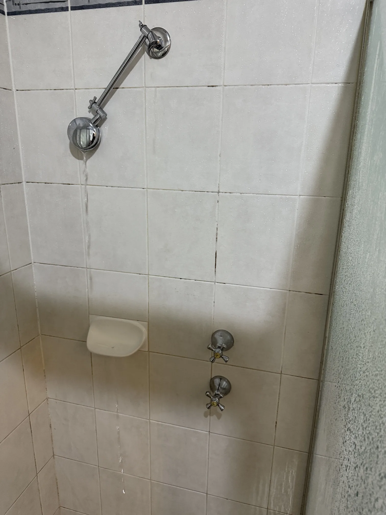Tap or toilet repaired in Bankstown 2200, March 2026