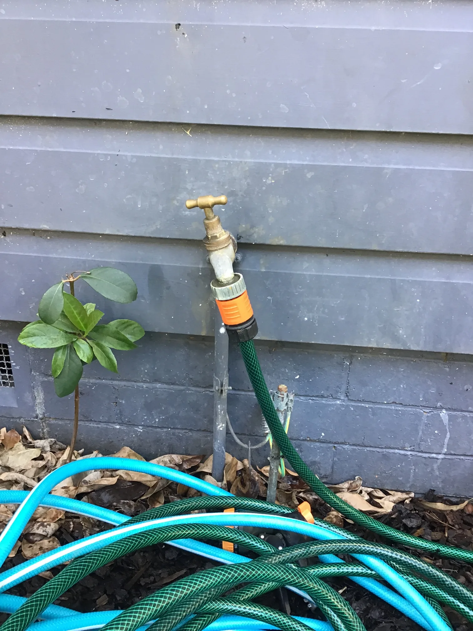 Burst pipe or leak repaired in Frenchs Forest 2086, April 2026