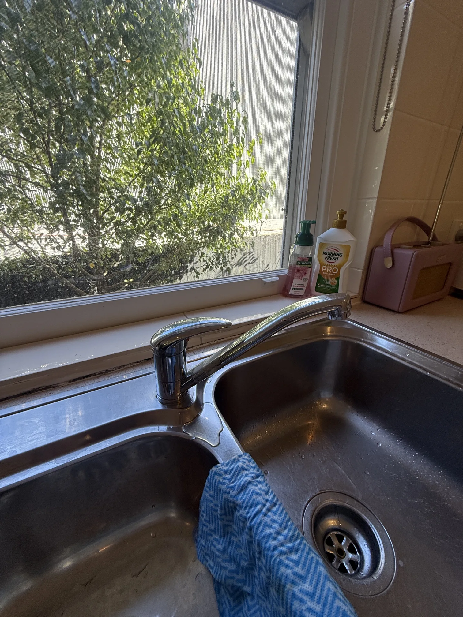 Tap or toilet repaired in Rose Bay 2029, April 2026