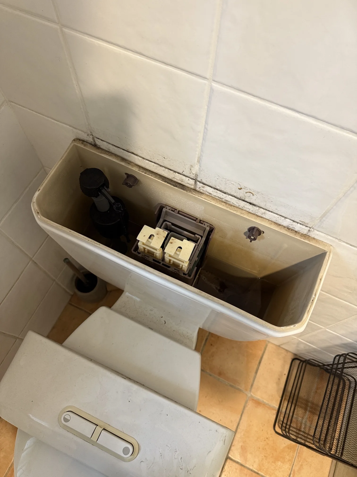 Burst pipe or leak repaired in Erskineville 2043, May 2026