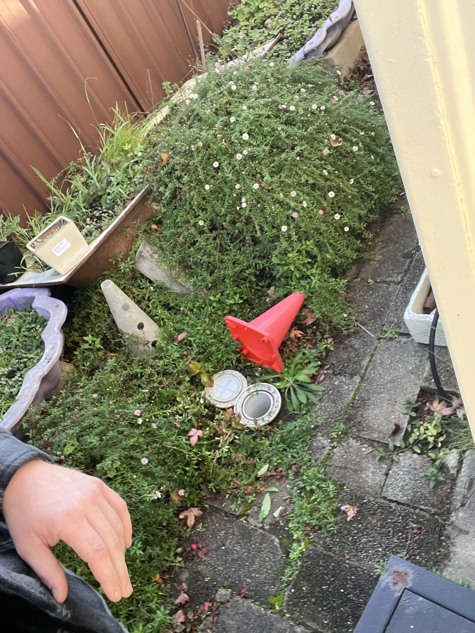 Blocked drain cleared in Picnic Point 2213, June 2026
