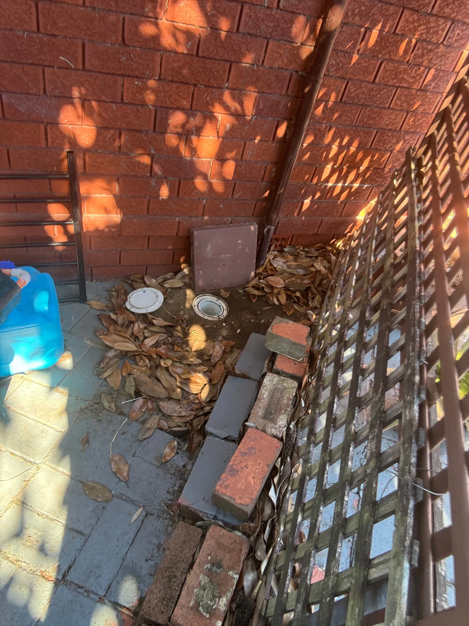 Blocked drain cleared in Beverly Hills 2209, August 2026