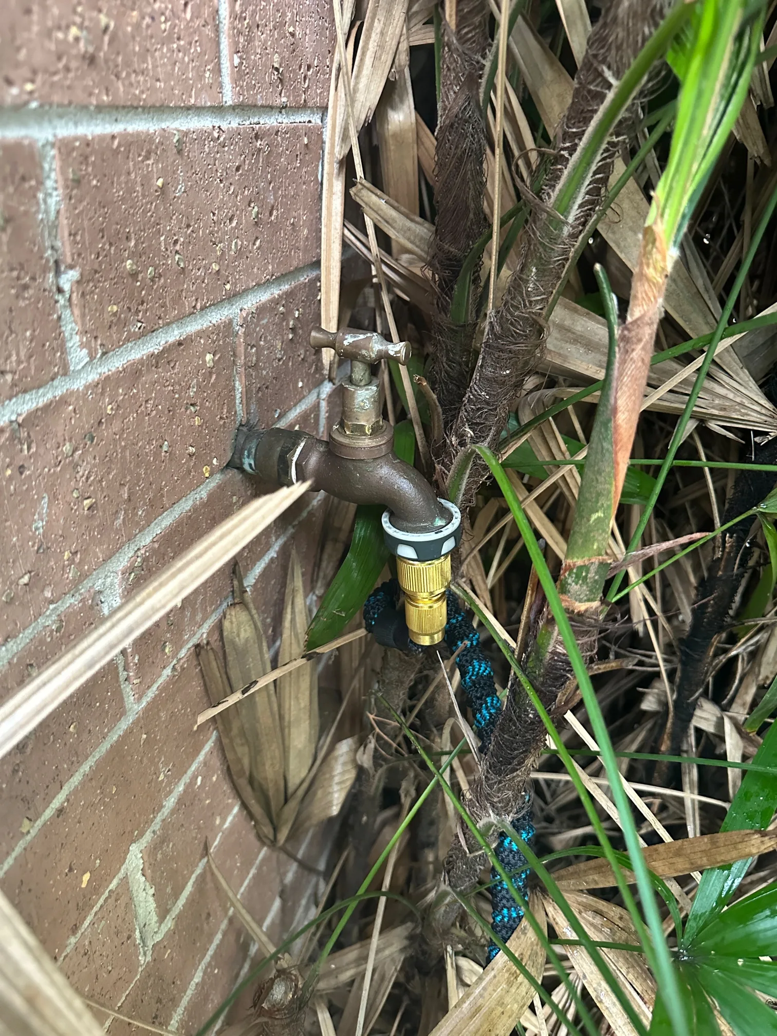 Tap or toilet repaired in Macquarie Fields 2564, August 2026