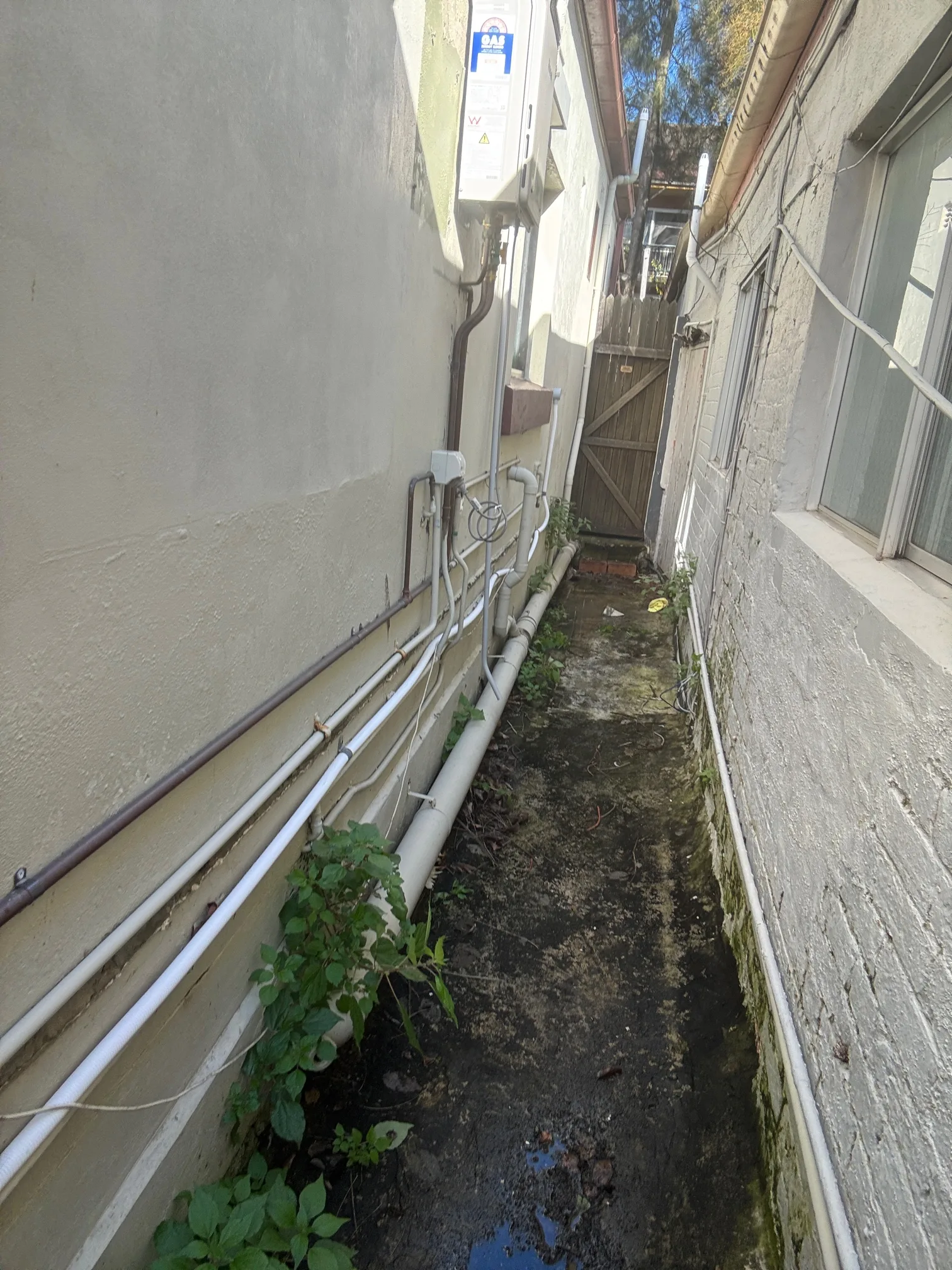 Blocked drain cleared in Newtown 2042, August 2026