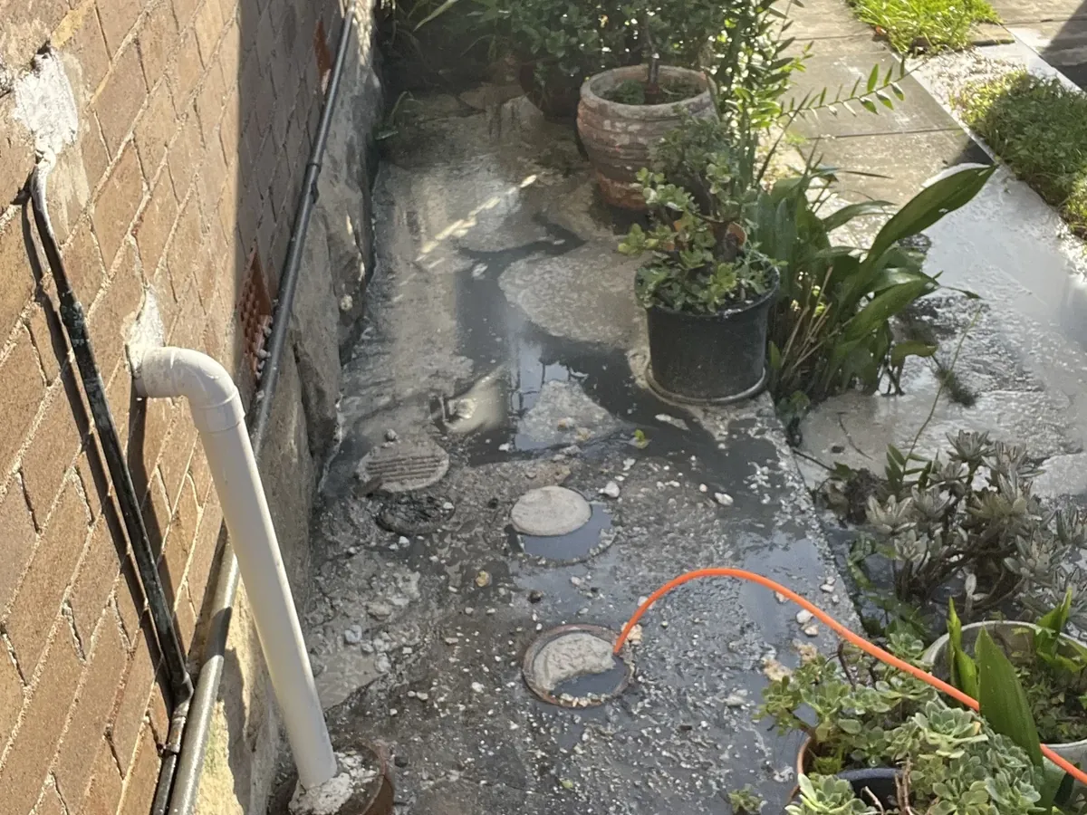 Dirty water across a side path around drain openings, with a jet hose in one, in Rockdale
