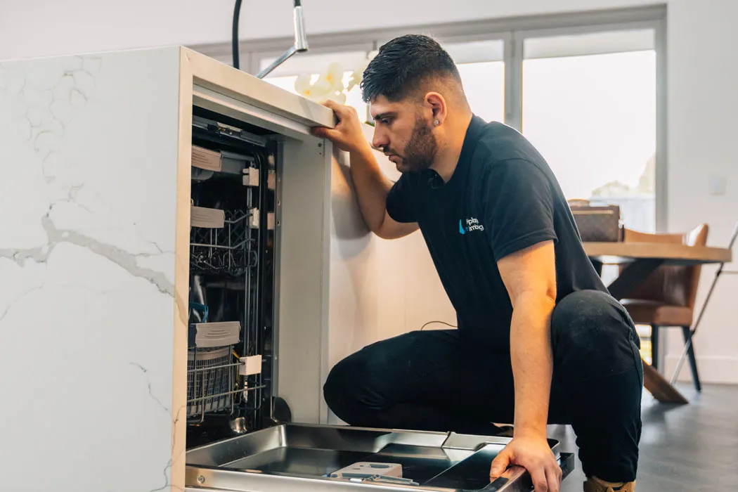 Smelly drain inspection